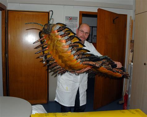 giant millipede found.